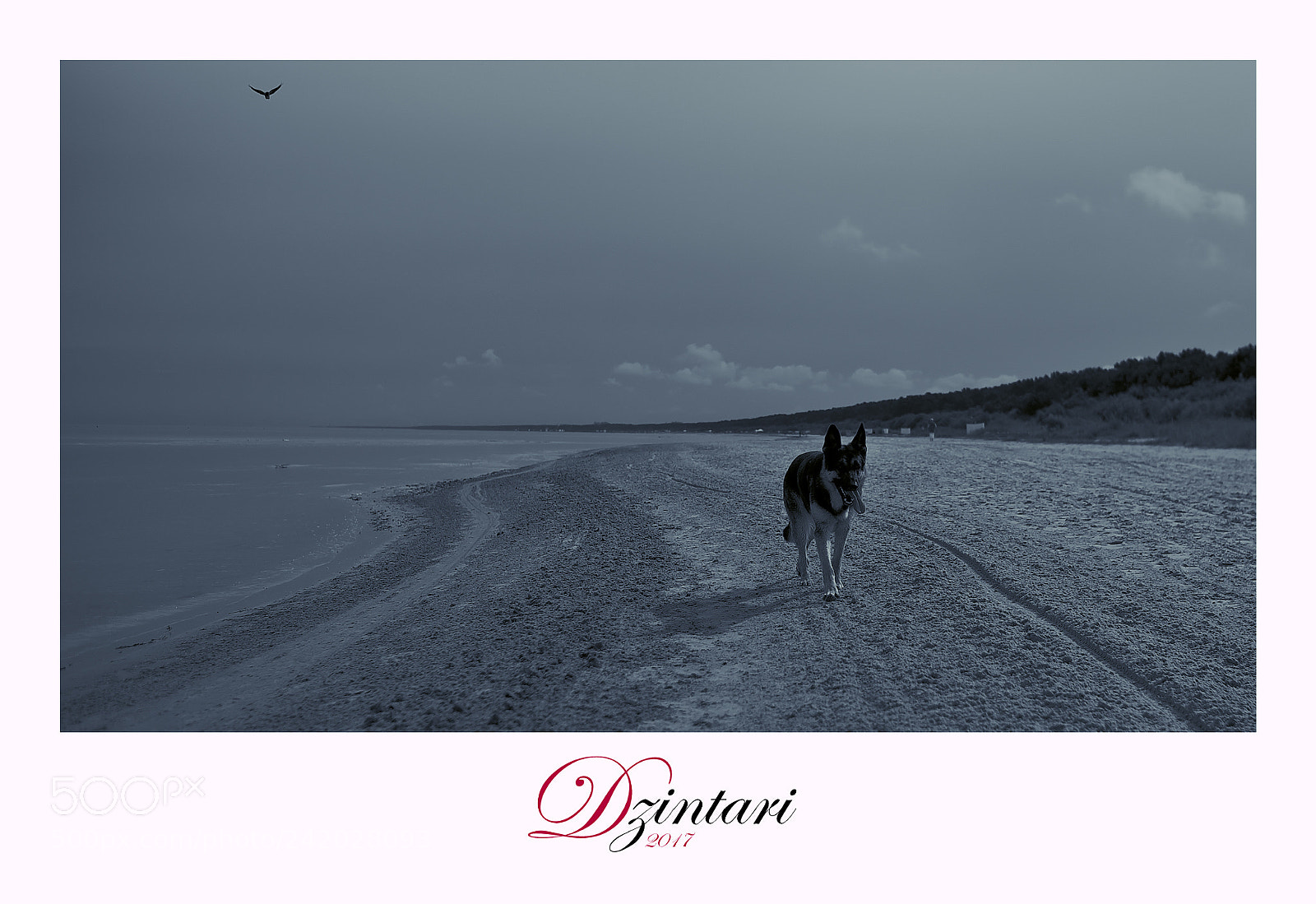 Fujifilm X-T1 sample photo. Dzintari photography