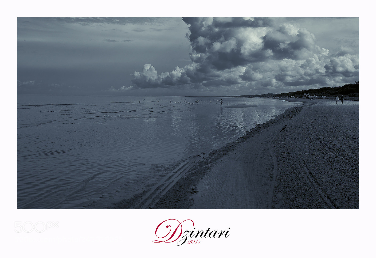 Fujifilm X-T1 sample photo. Dzintari photography