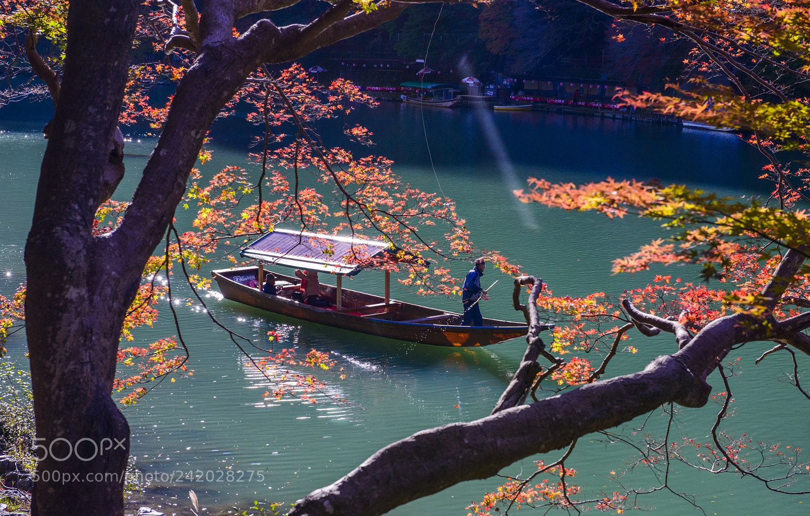 Nikon D800 sample photo. Arashiyama 嵐山 photography