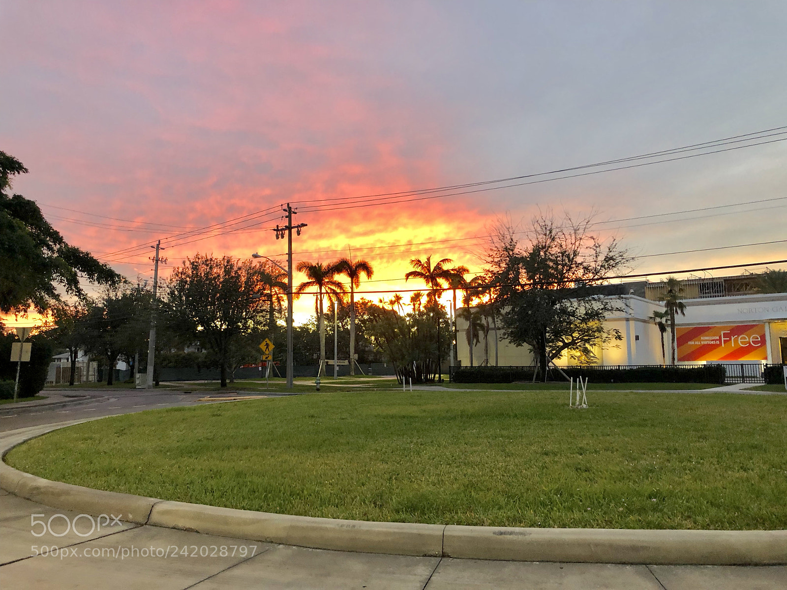 Apple iPhone X sample photo. Loy anderson shares a photography