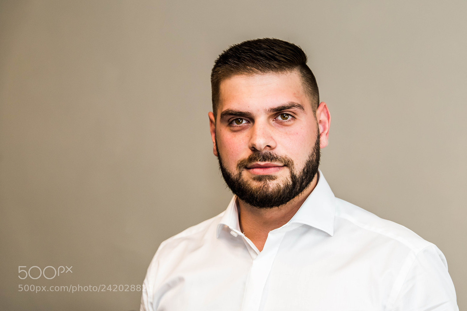 Canon EOS 6D Mark II sample photo. Img photography