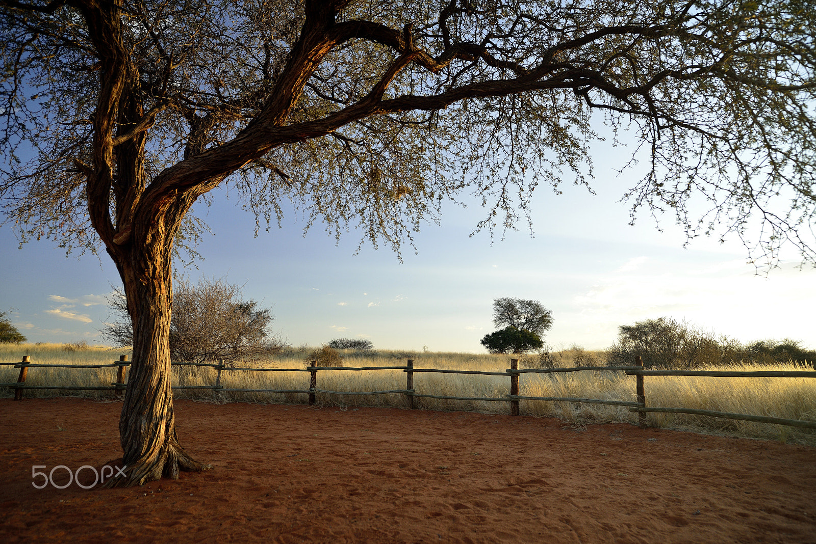Nikon D800E sample photo. The best place for the campsite photography