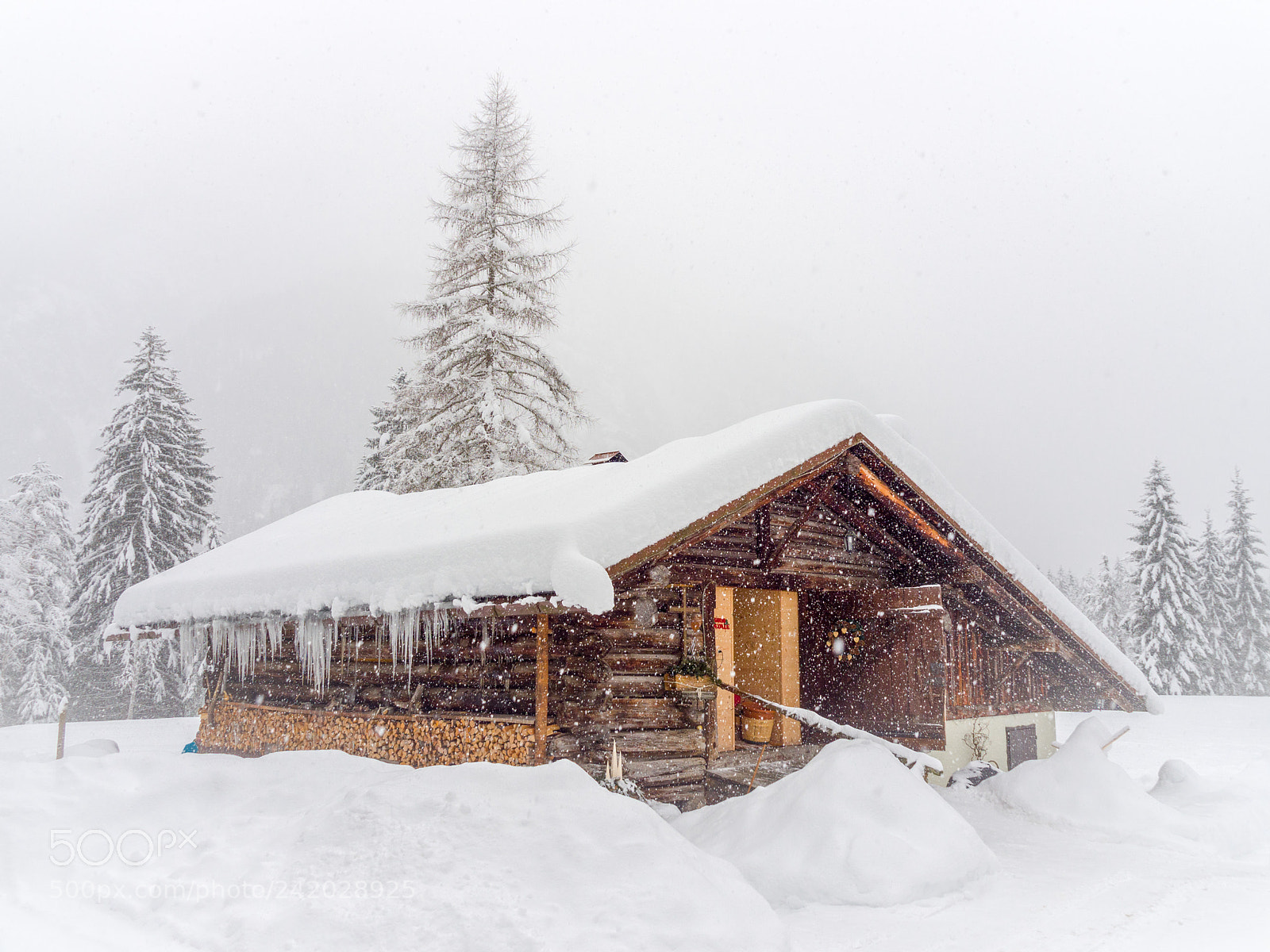 Olympus OM-D E-M10 sample photo. Let it snow photography
