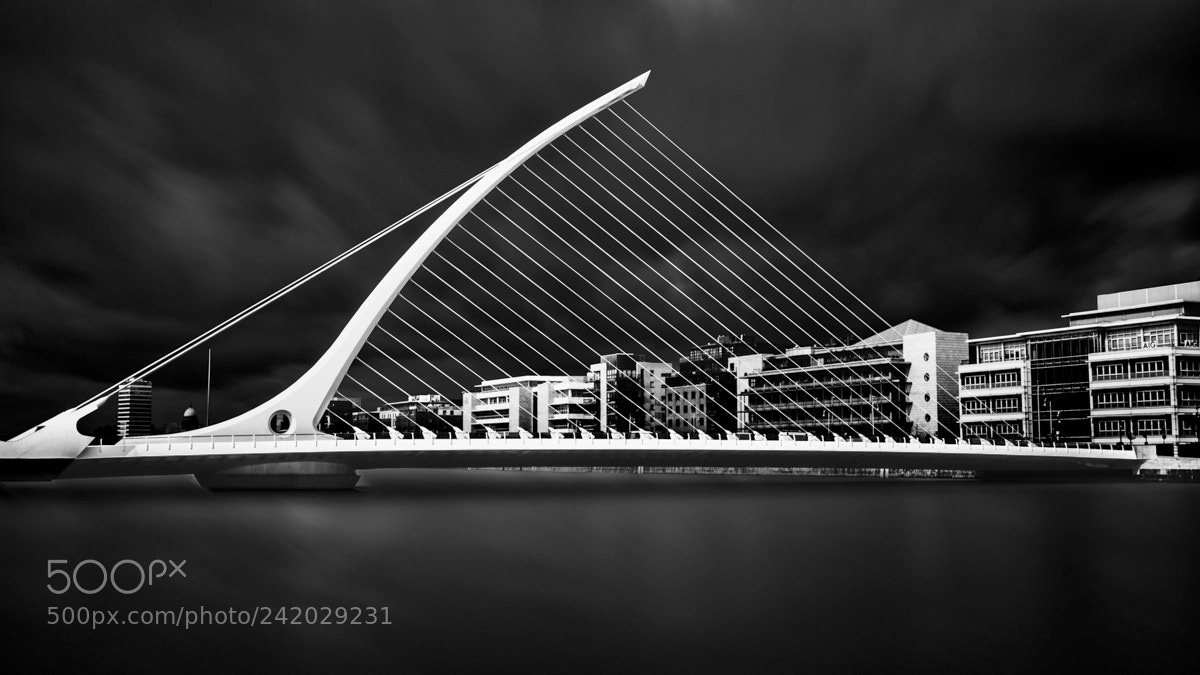 Fujifilm X-T1 sample photo. The harp photography