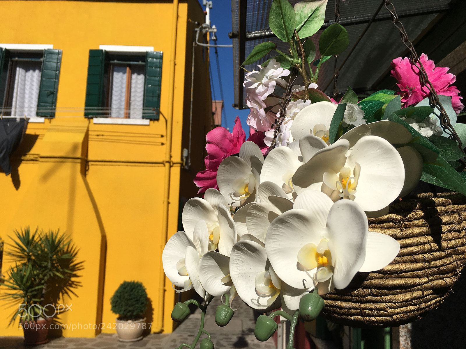 Apple iPhone 6s sample photo. Hidden gardens of burano photography