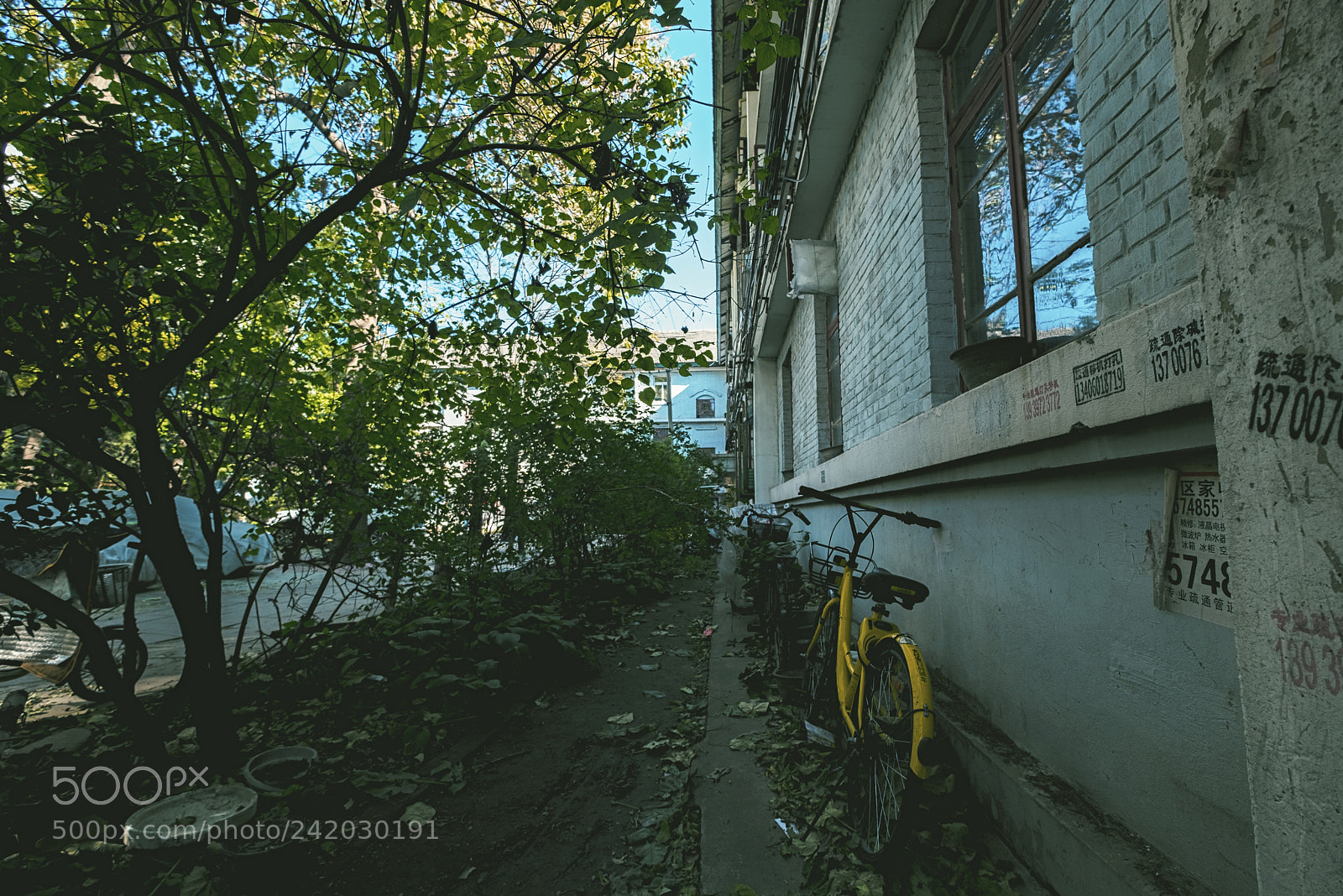 Fujifilm X-T20 sample photo. The old community photography
