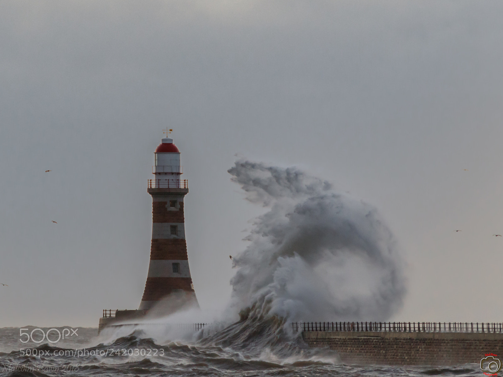 Canon EOS 7D Mark II sample photo. Trump wave, as in photography