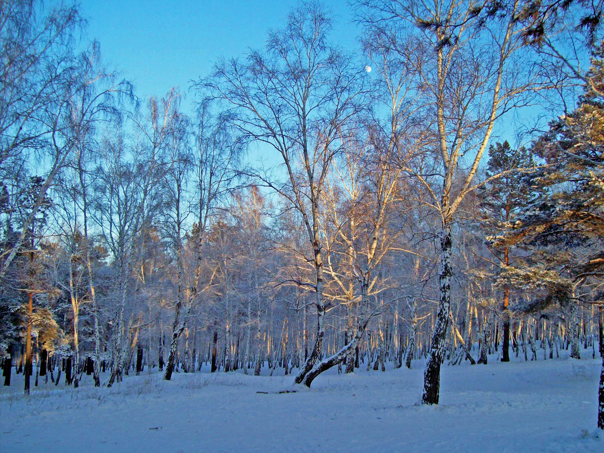 Kodak EASYSHARE C813 ZOOM DIGITAL CAMERA sample photo. () photography