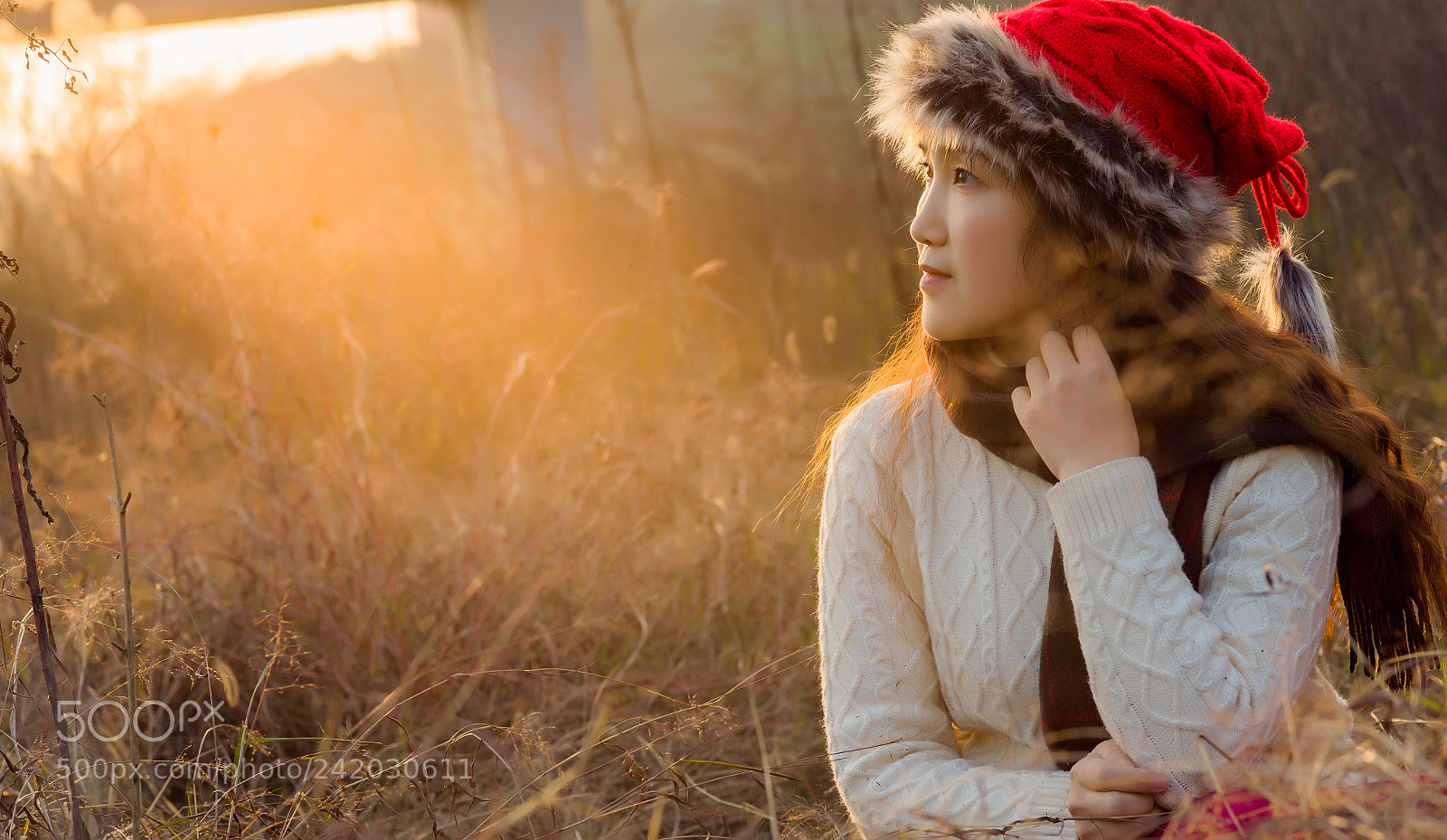 Canon EOS-1D X sample photo. Untitled photography
