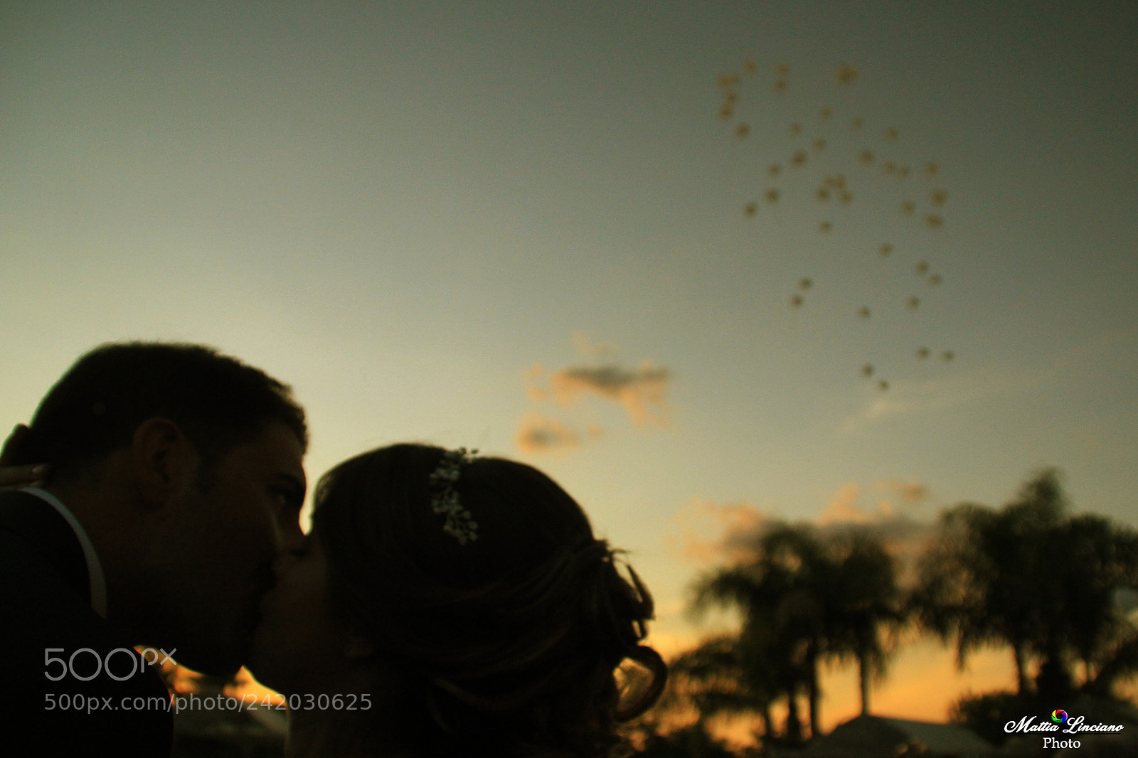 Canon EOS 60D sample photo. Amore vivo, amore per photography