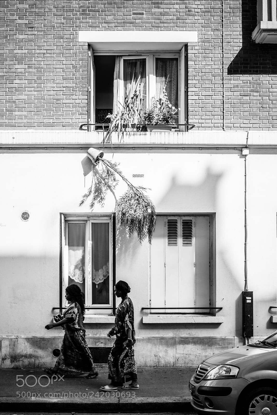Pentax K-1 sample photo. Untitled photography