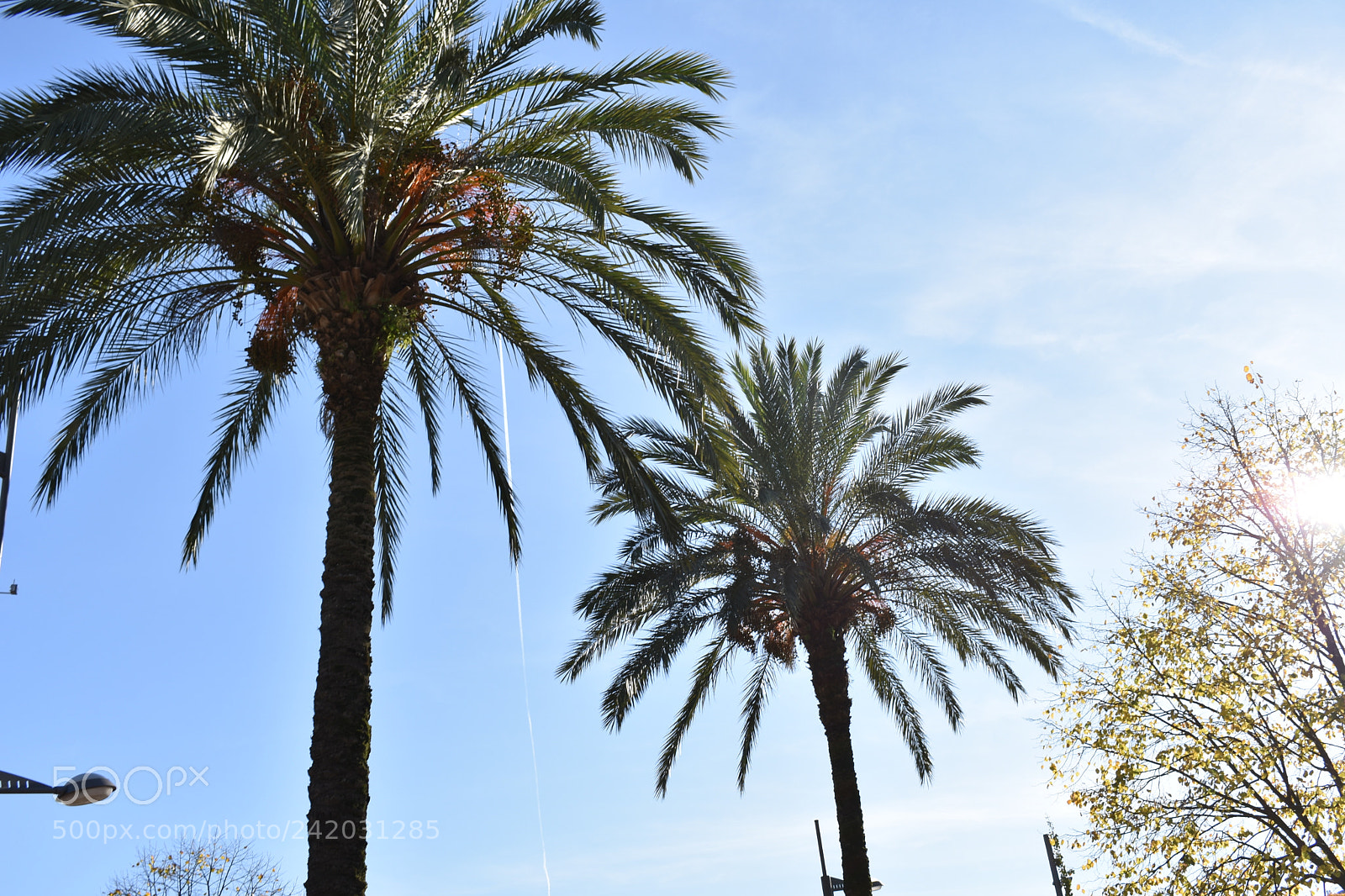 Nikon D3400 sample photo. Untitled photography