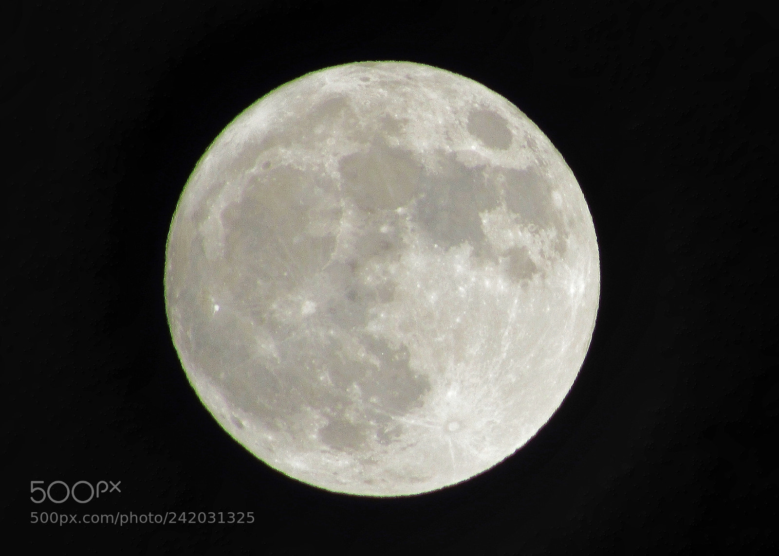Canon PowerShot SX530 HS sample photo. Mr moon. photography