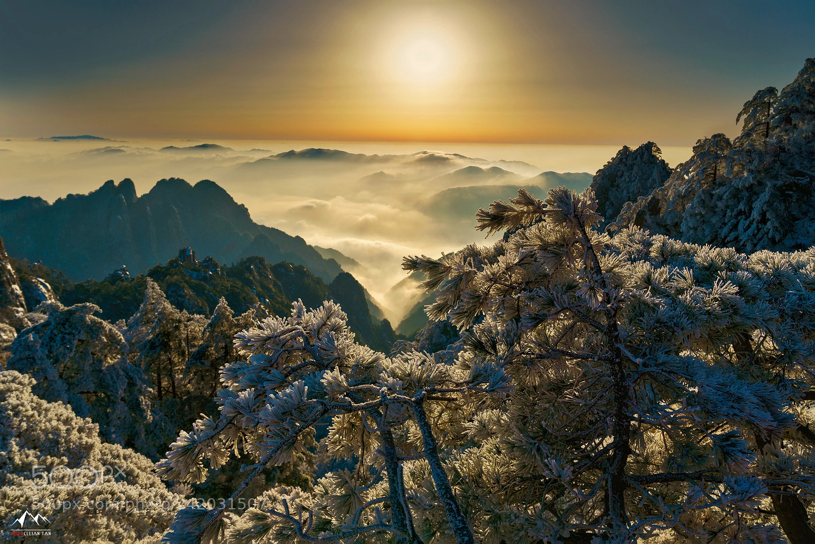 Sony a9 sample photo. Snow huangshan photography
