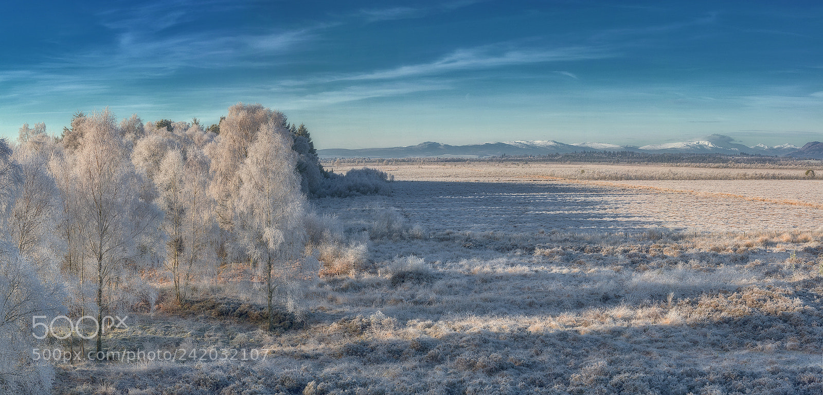 Nikon D800 sample photo. Across flanders moss photography