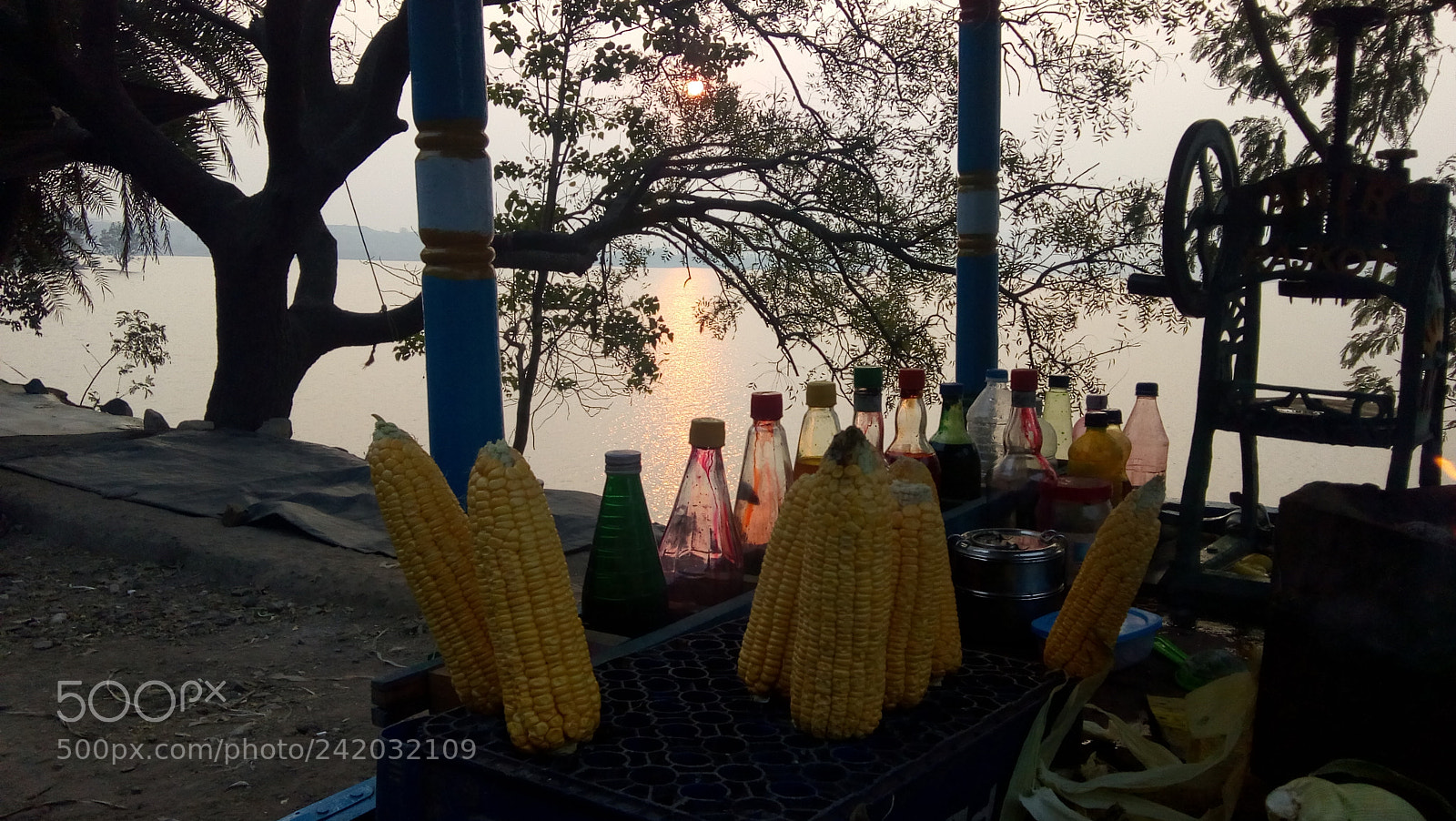 Motorola Moto E4 sample photo. Indian corn ... photography