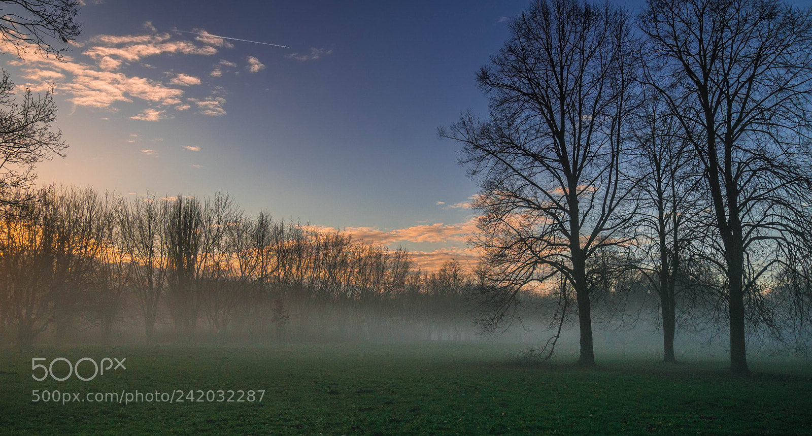 Sony ILCA-77M2 sample photo. Morning fog photography