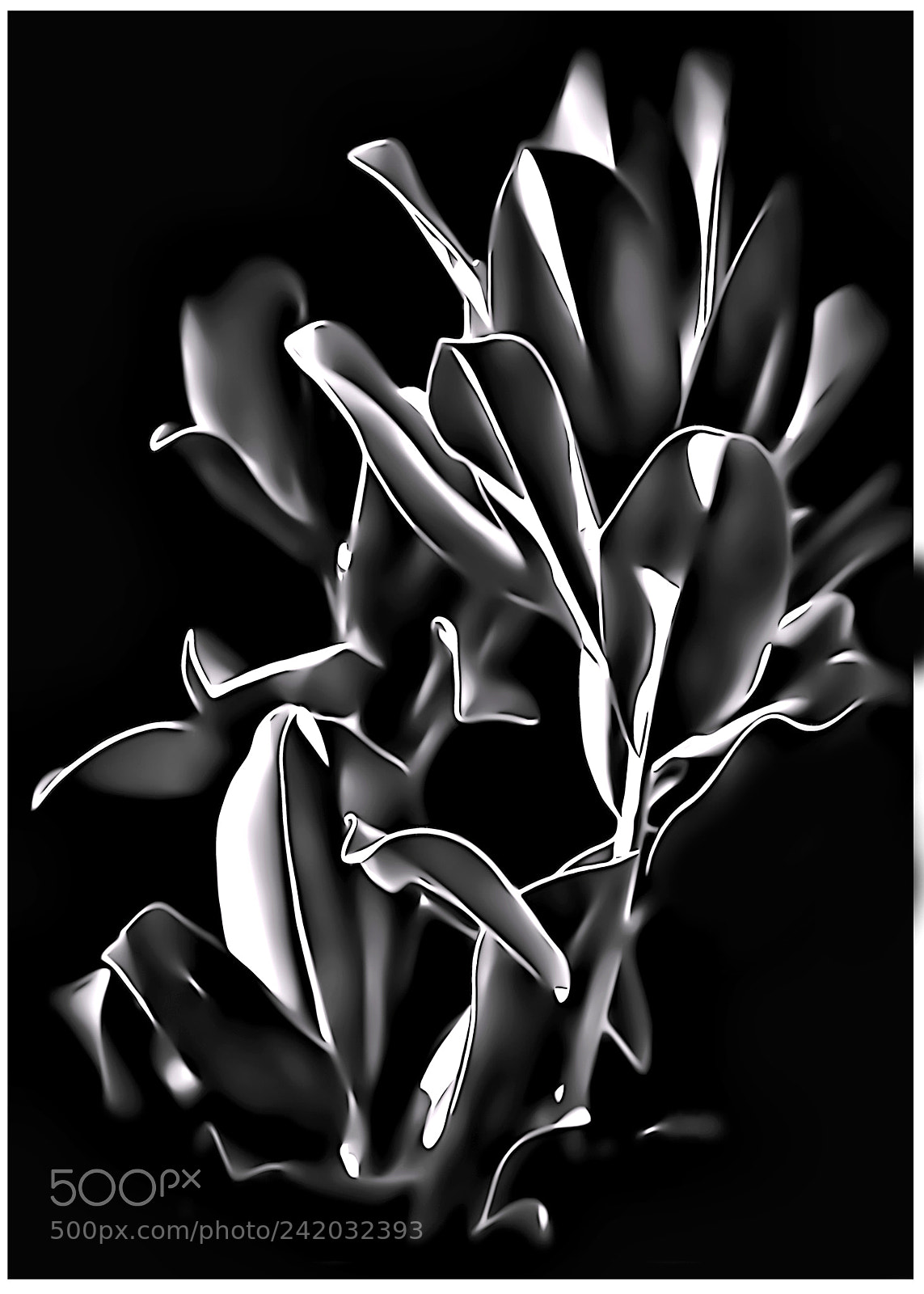Canon EOS 50D sample photo. Magnolia leaves photography