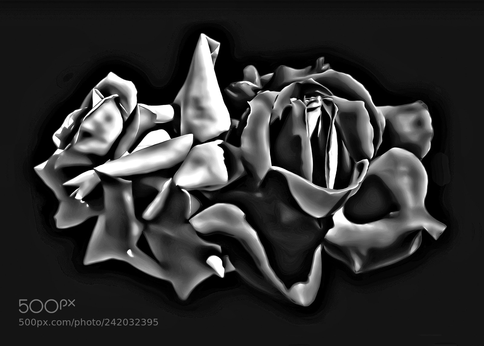 Canon EOS 50D sample photo. Two roses photography