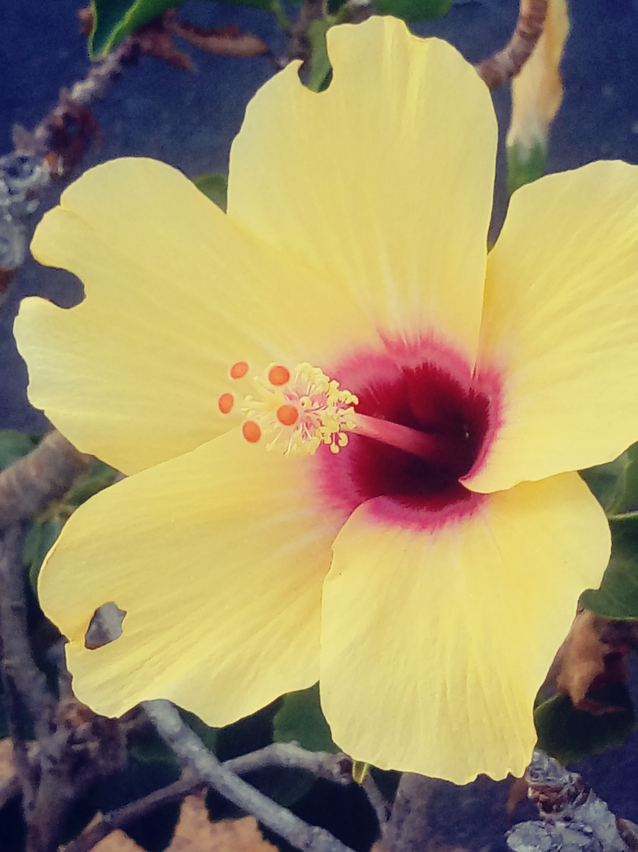 LG X POWER sample photo