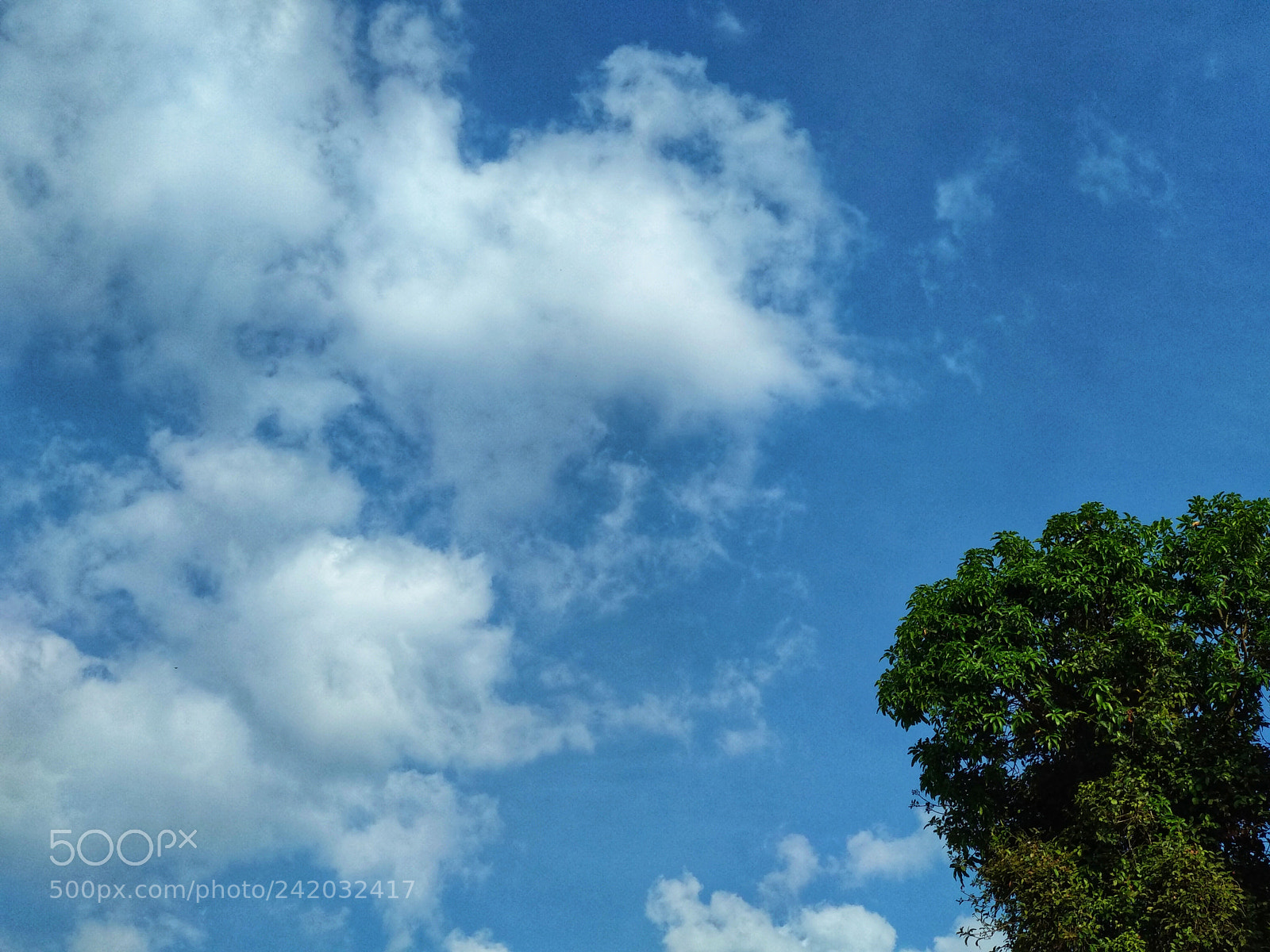 Xiaomi Mi A1 sample photo. Https www.brainyquote.com topics sky photography