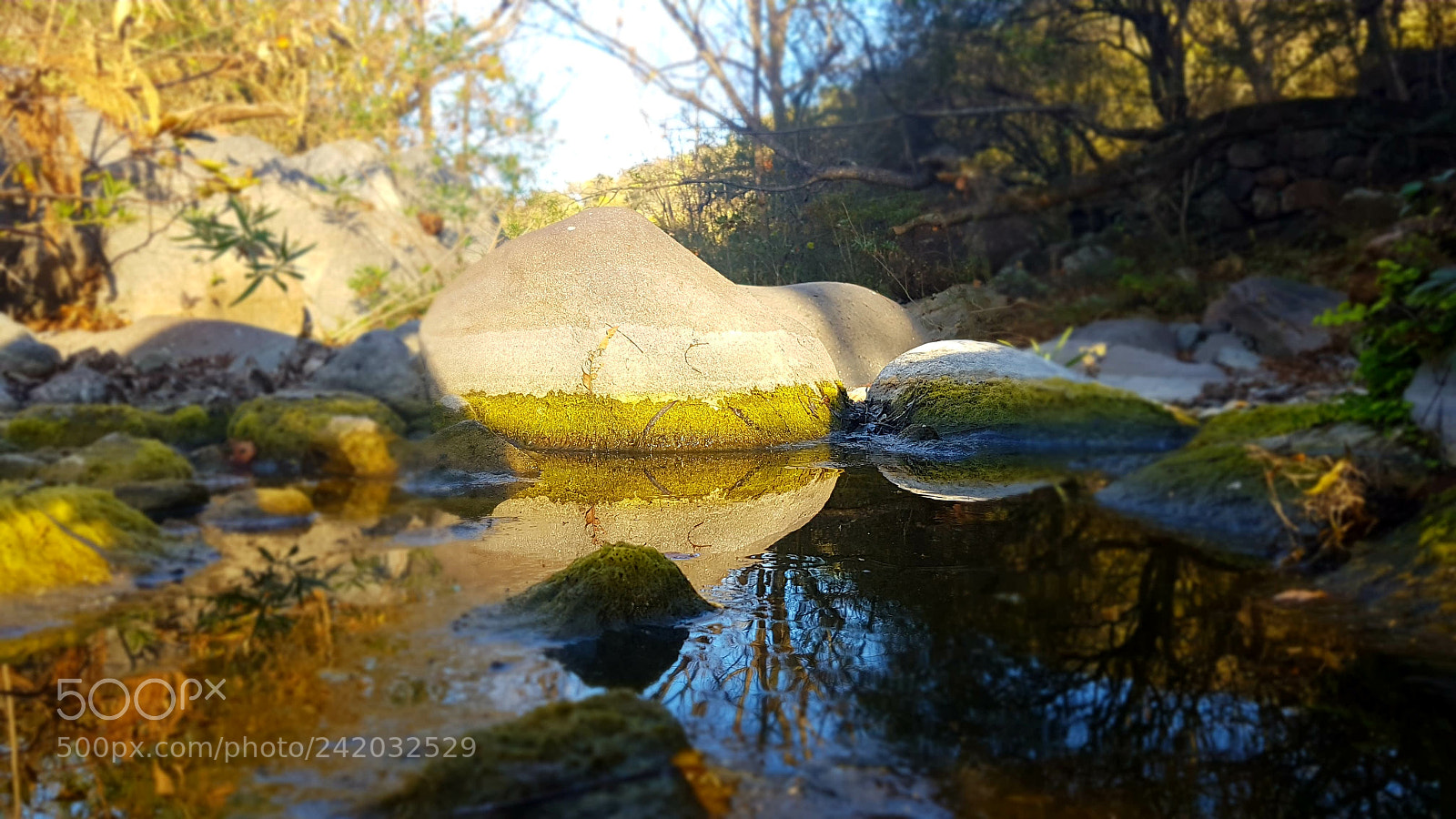 Samsung Galaxy S7 Edge sample photo. Untitled photography
