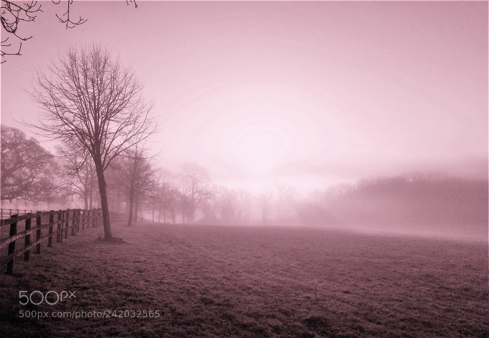 Apple iPhone 5s sample photo. January sunrise at holywell 3 photography