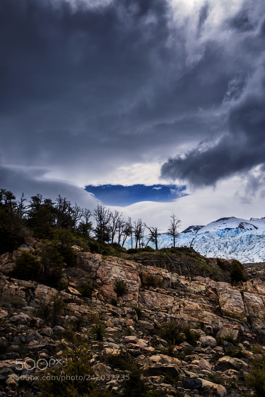 Nikon D810 sample photo. Ice photography