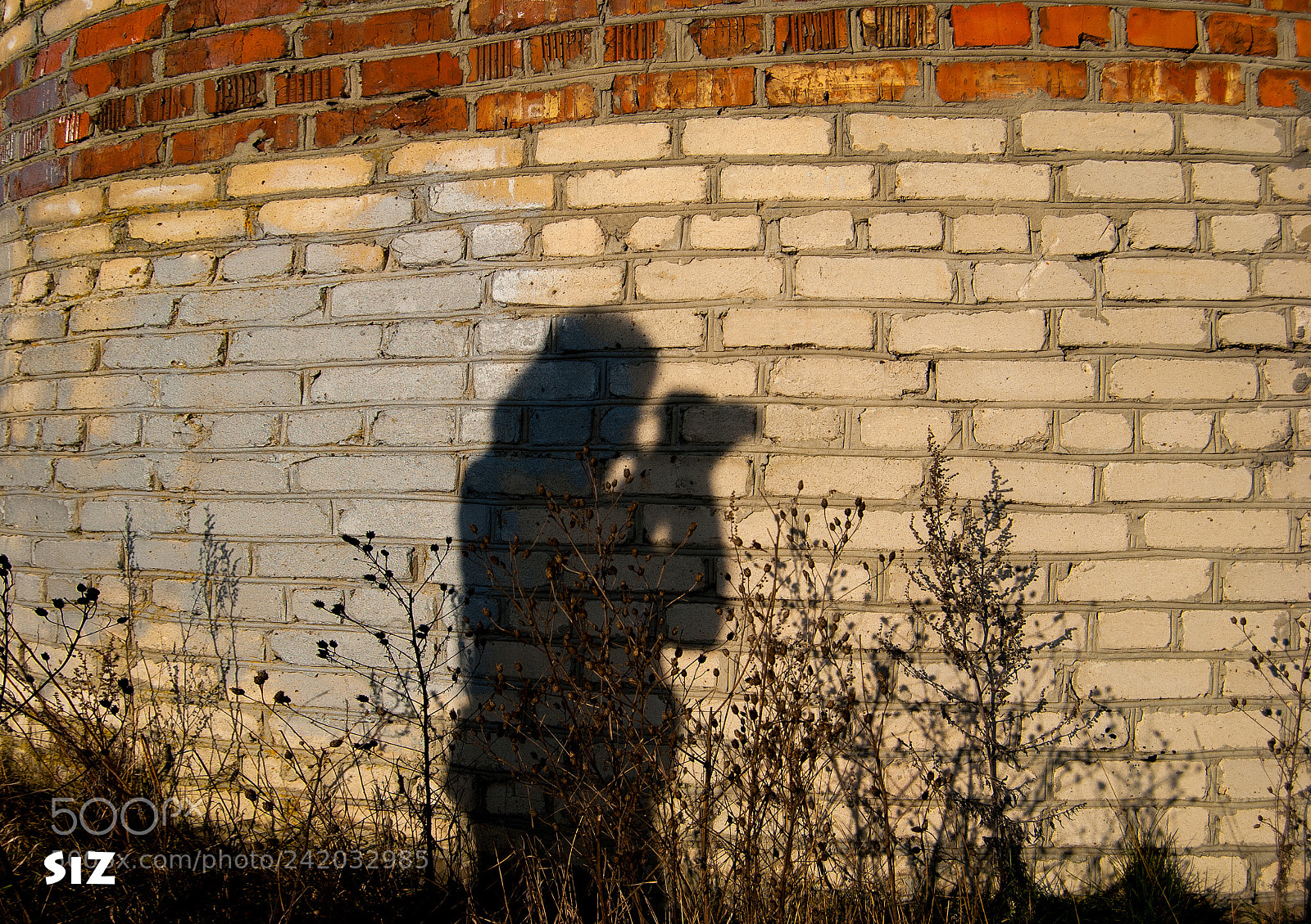 Nikon D3000 sample photo. Тень photography