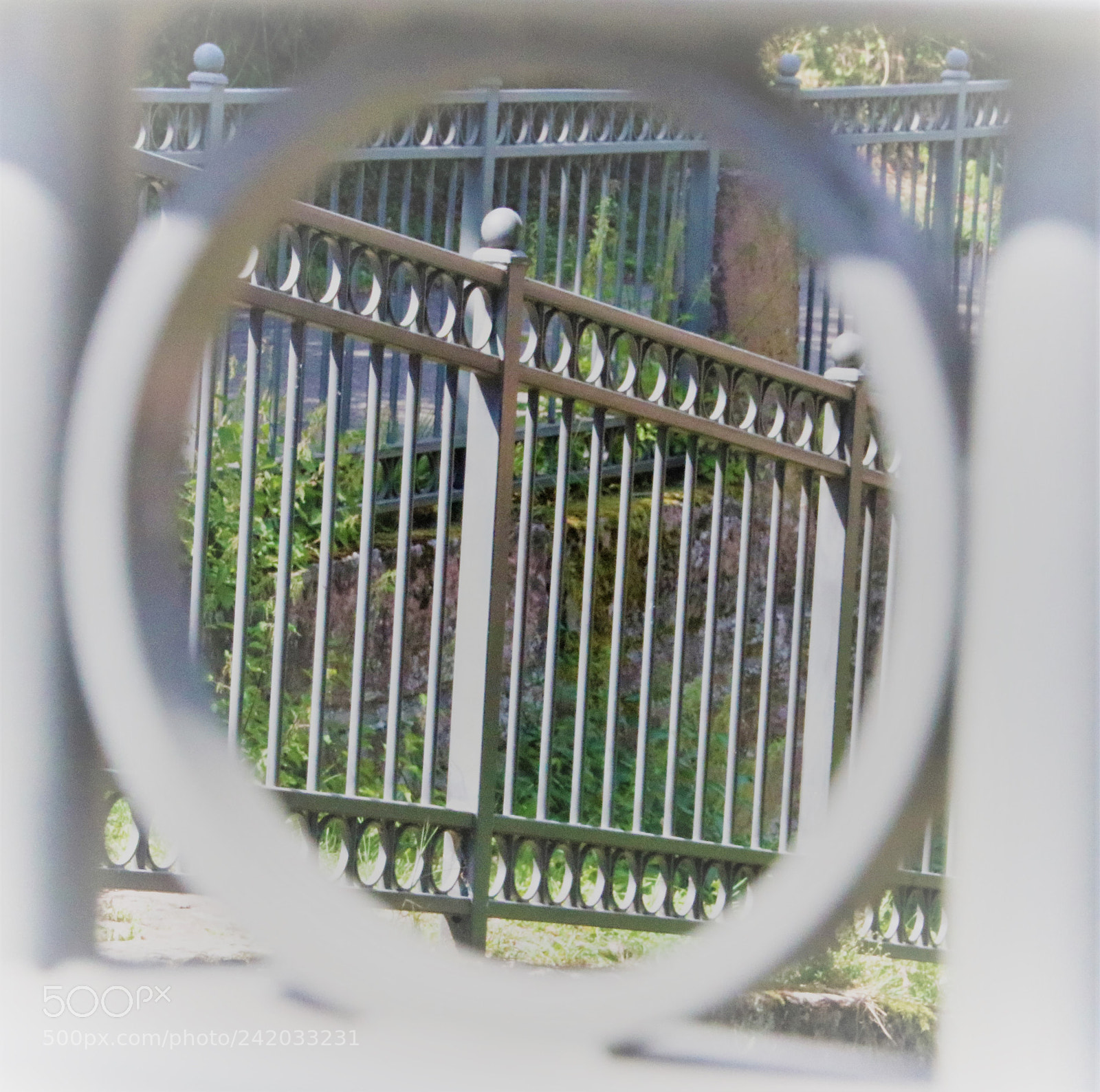 Canon EOS 760D (EOS Rebel T6s / EOS 8000D) sample photo. The ring photography