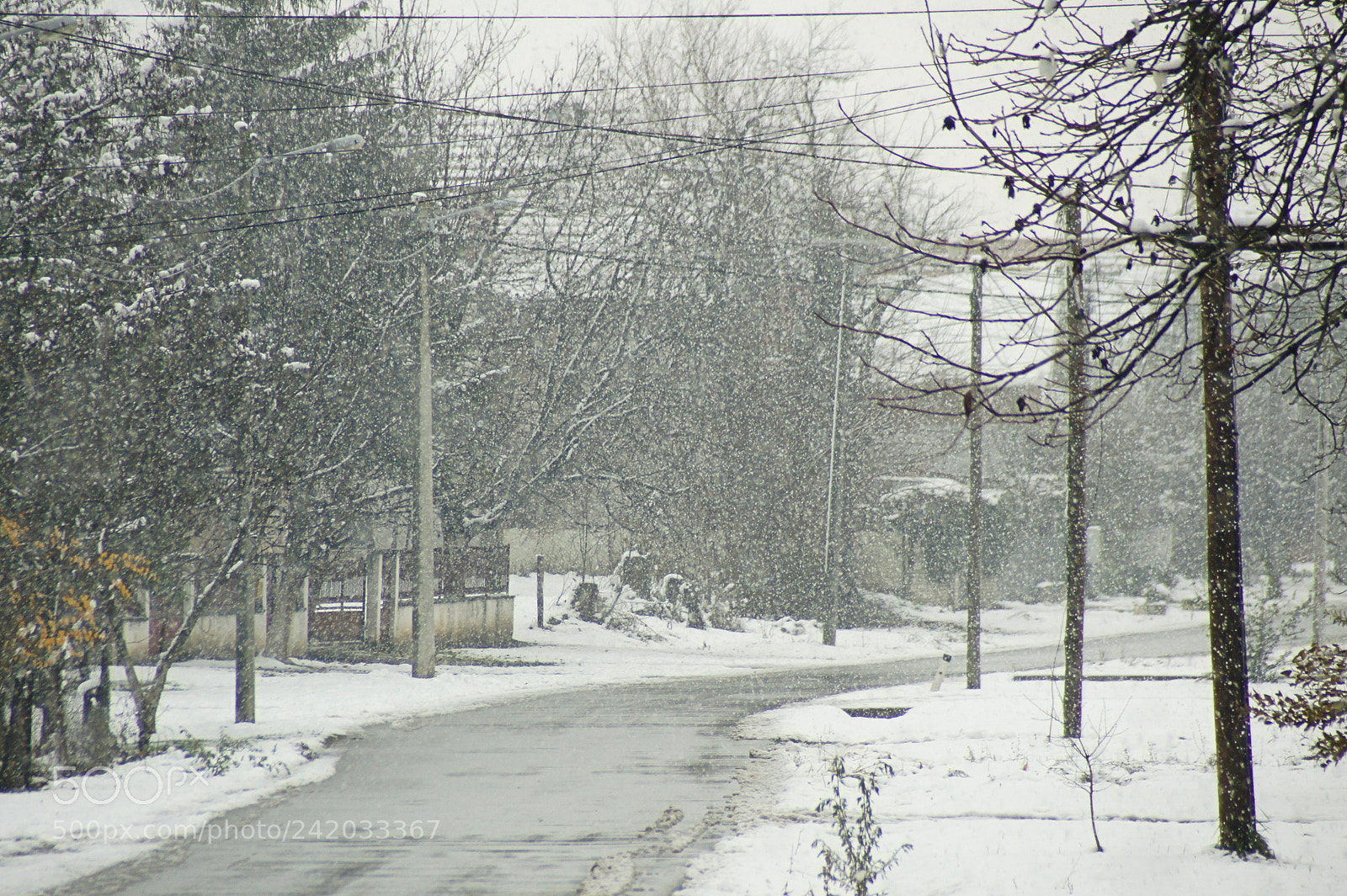 Sony SLT-A33 sample photo. Winter in the street photography
