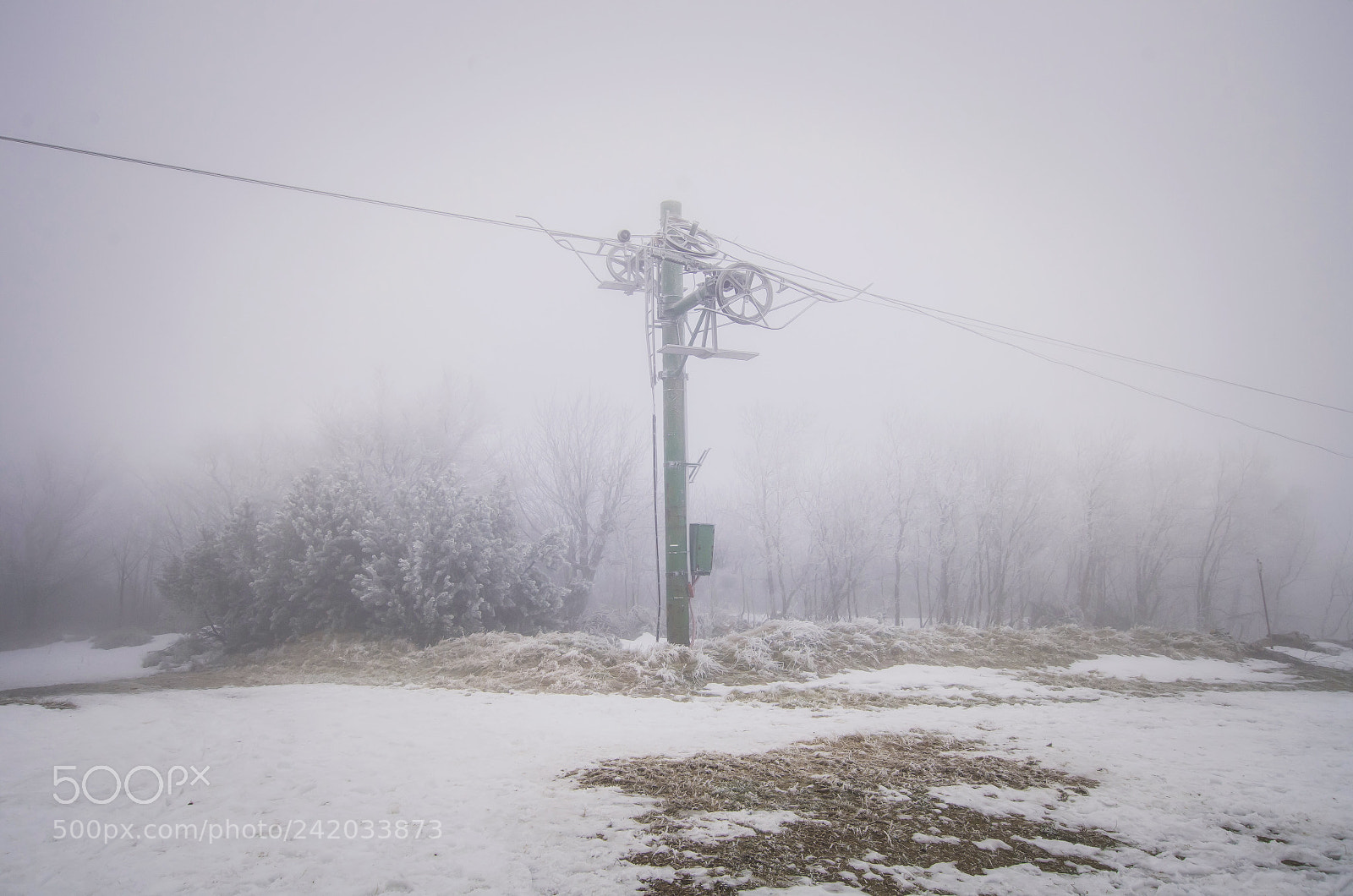 Pentax K-50 sample photo. Winter photography