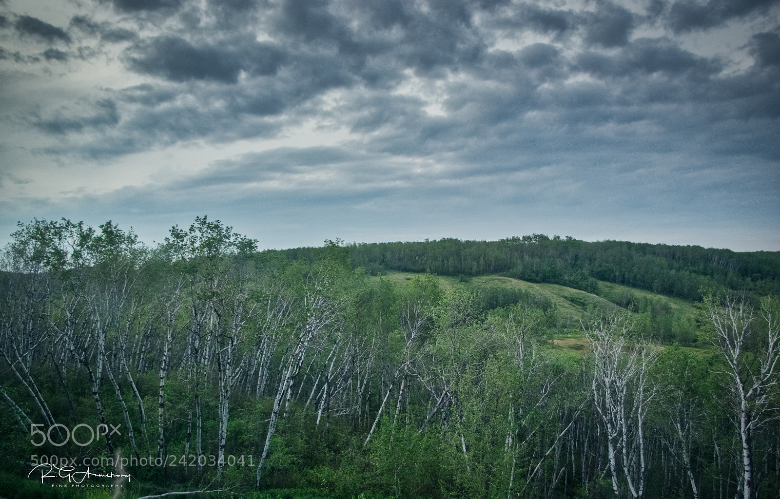Pentax K-3 II sample photo. Praire rolling hills photography