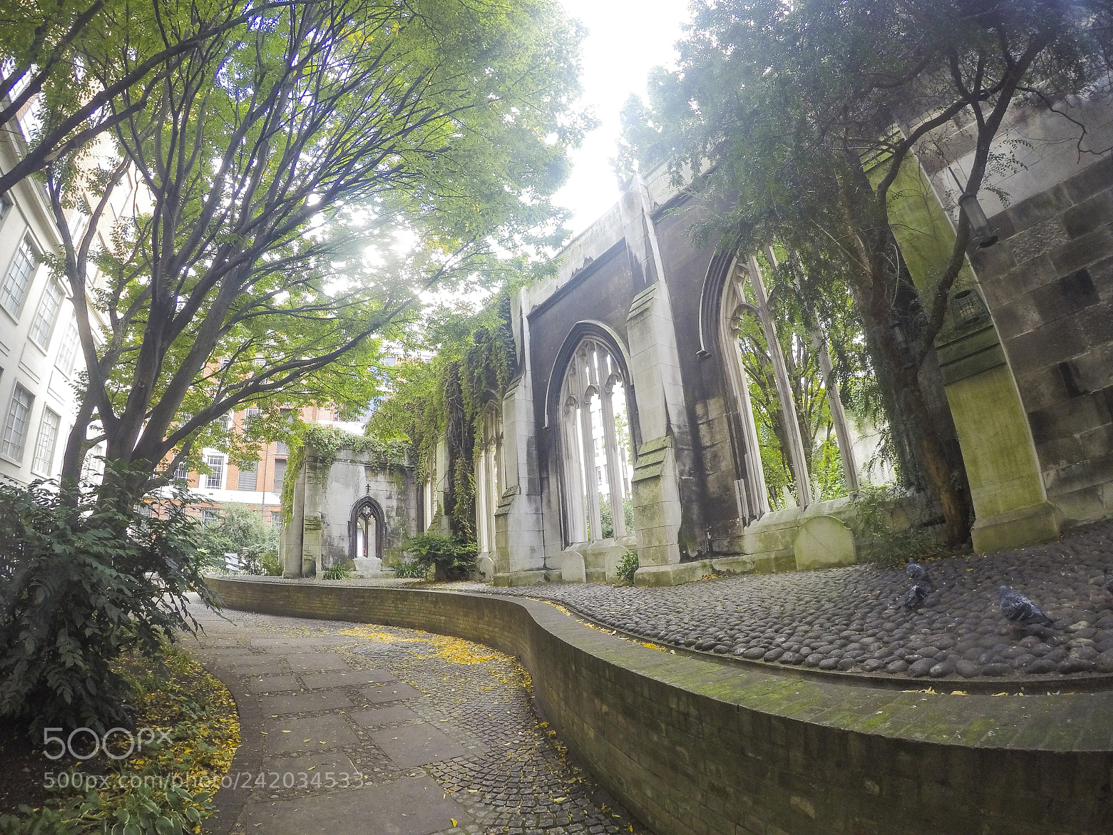 GoPro HERO4 Silver sample photo. The ruins of st photography