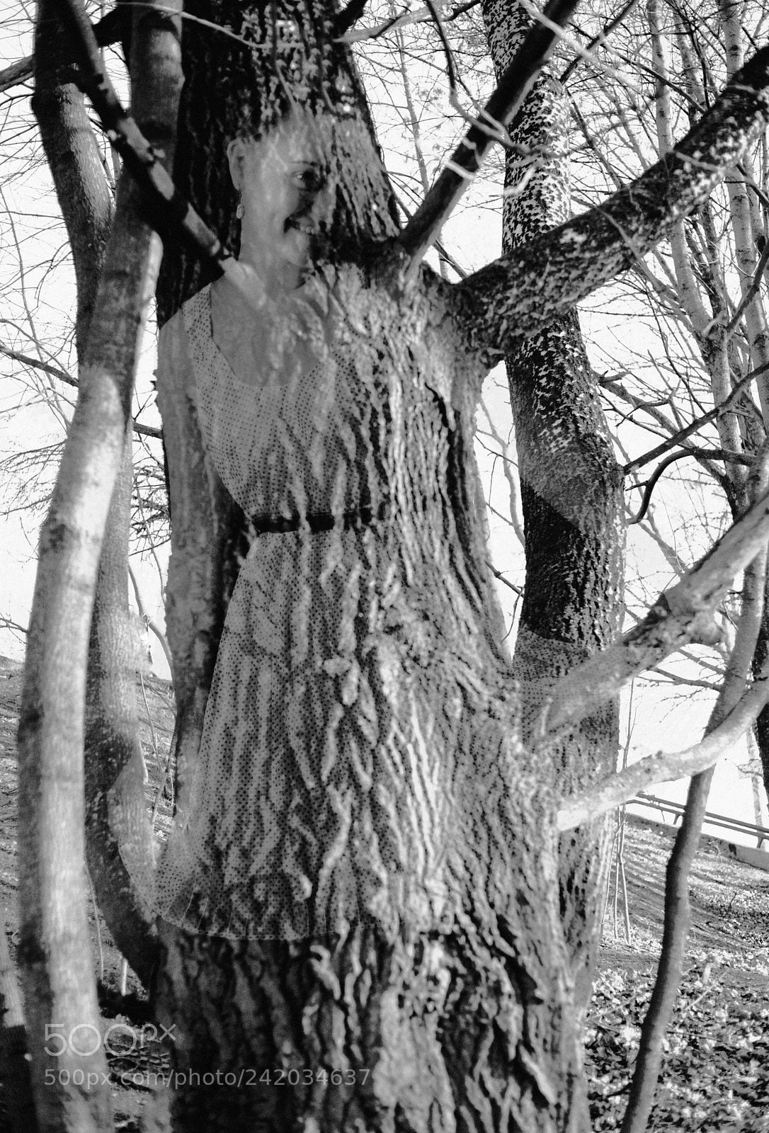 Pentax K200D sample photo. Tree fairy photography