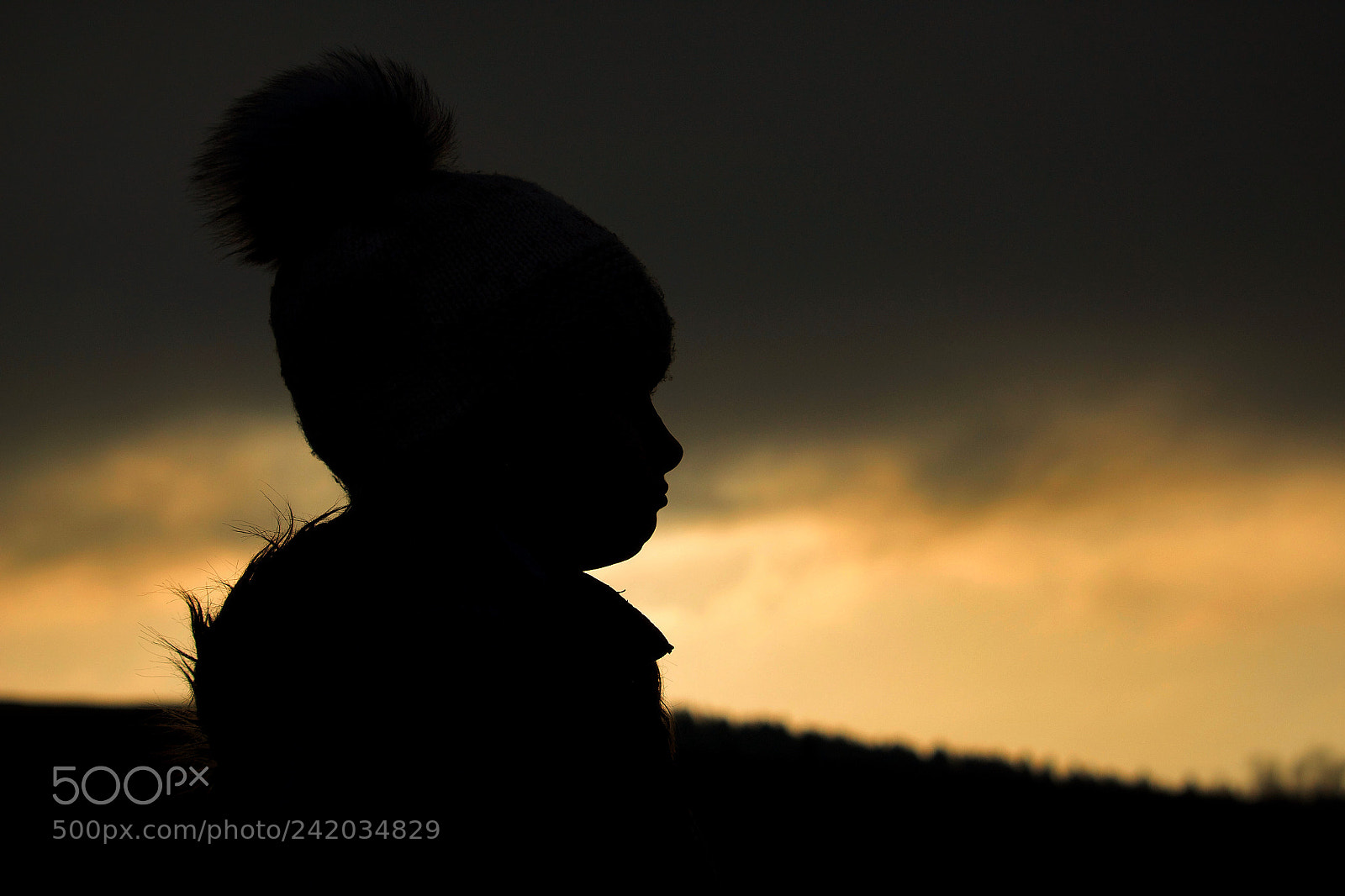 Canon EOS 1300D (EOS Rebel T6 / EOS Kiss X80) sample photo. Silhouette photography