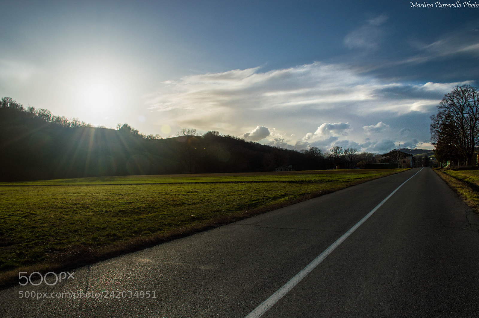 Nikon D3200 sample photo. Backlight photography