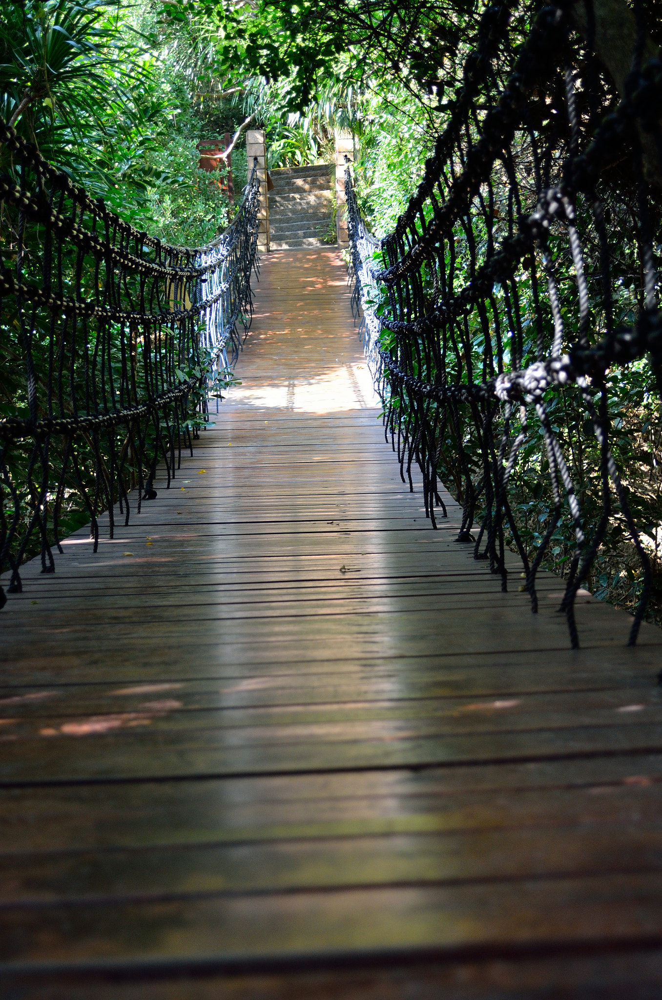 AF Zoom-Nikkor 28-105mm f/3.5-4.5D IF sample photo. Bridge in sanya dongtian park photography