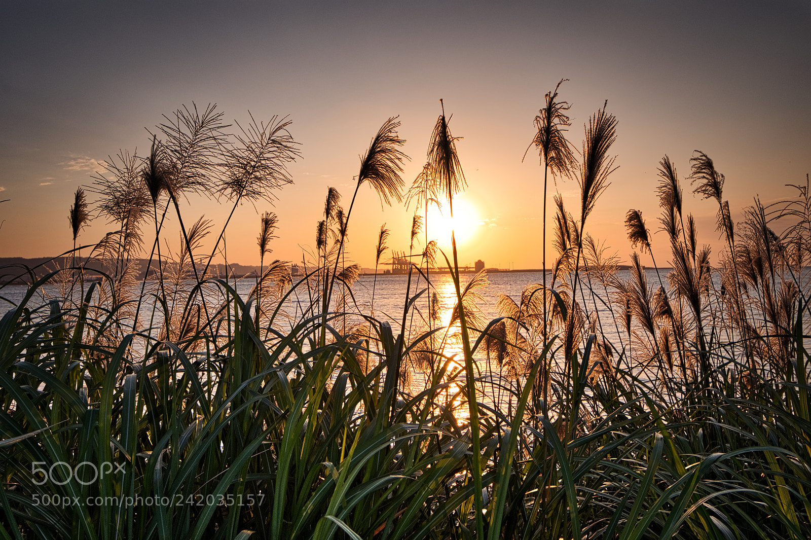 Nikon D7500 sample photo. Sunset photography