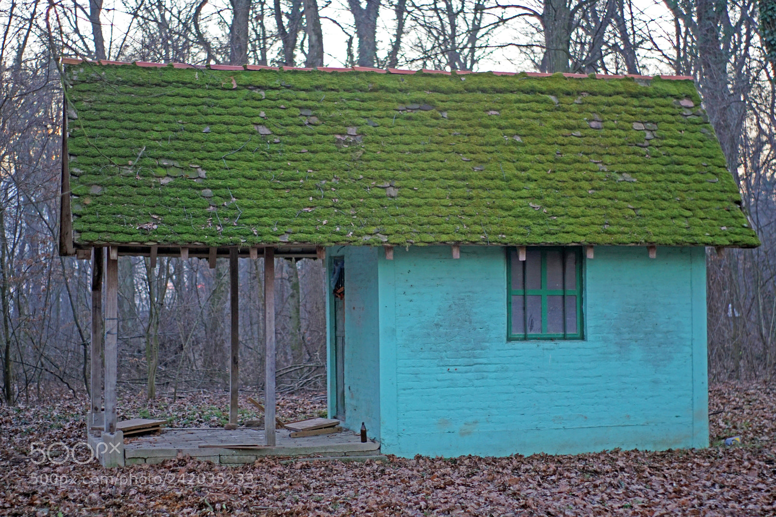 Sony a6300 sample photo. Alone small house in photography