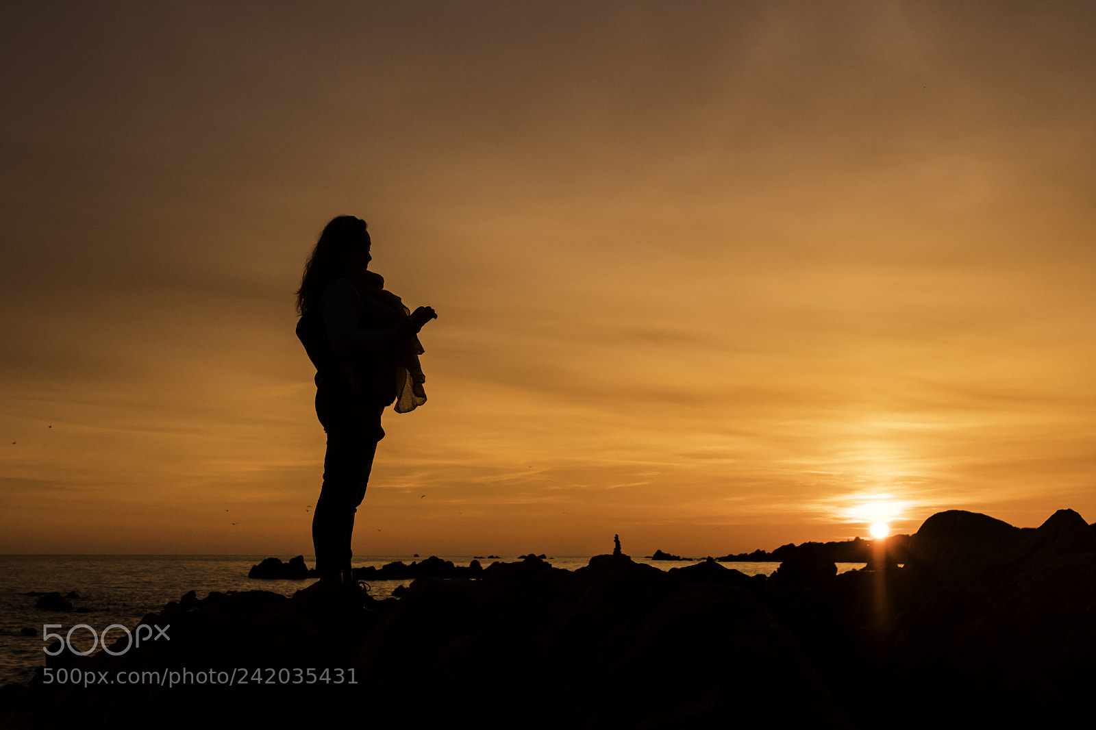 Nikon D500 sample photo. Soleil couchant dans la photography