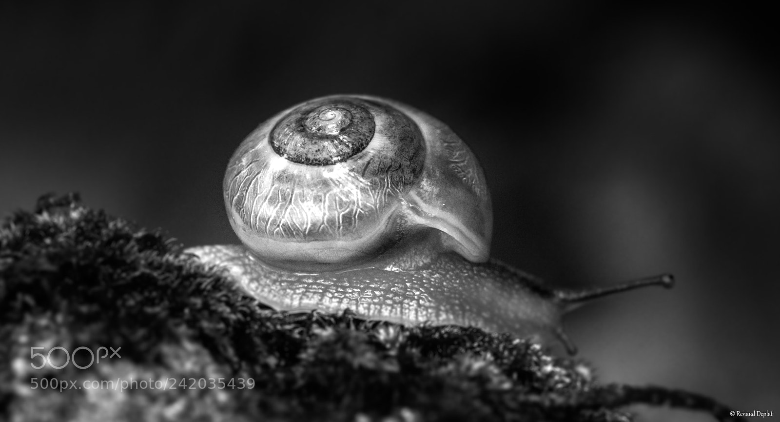 Nikon D7100 sample photo. Lenteur ... photography