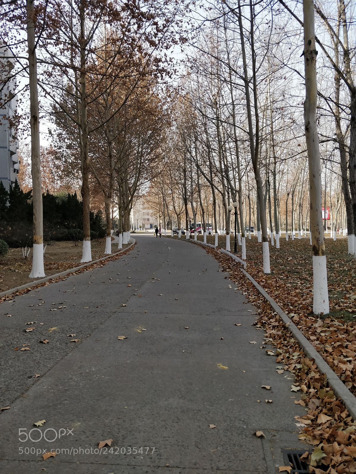OnePlus 5 sample photo. Untitled photography