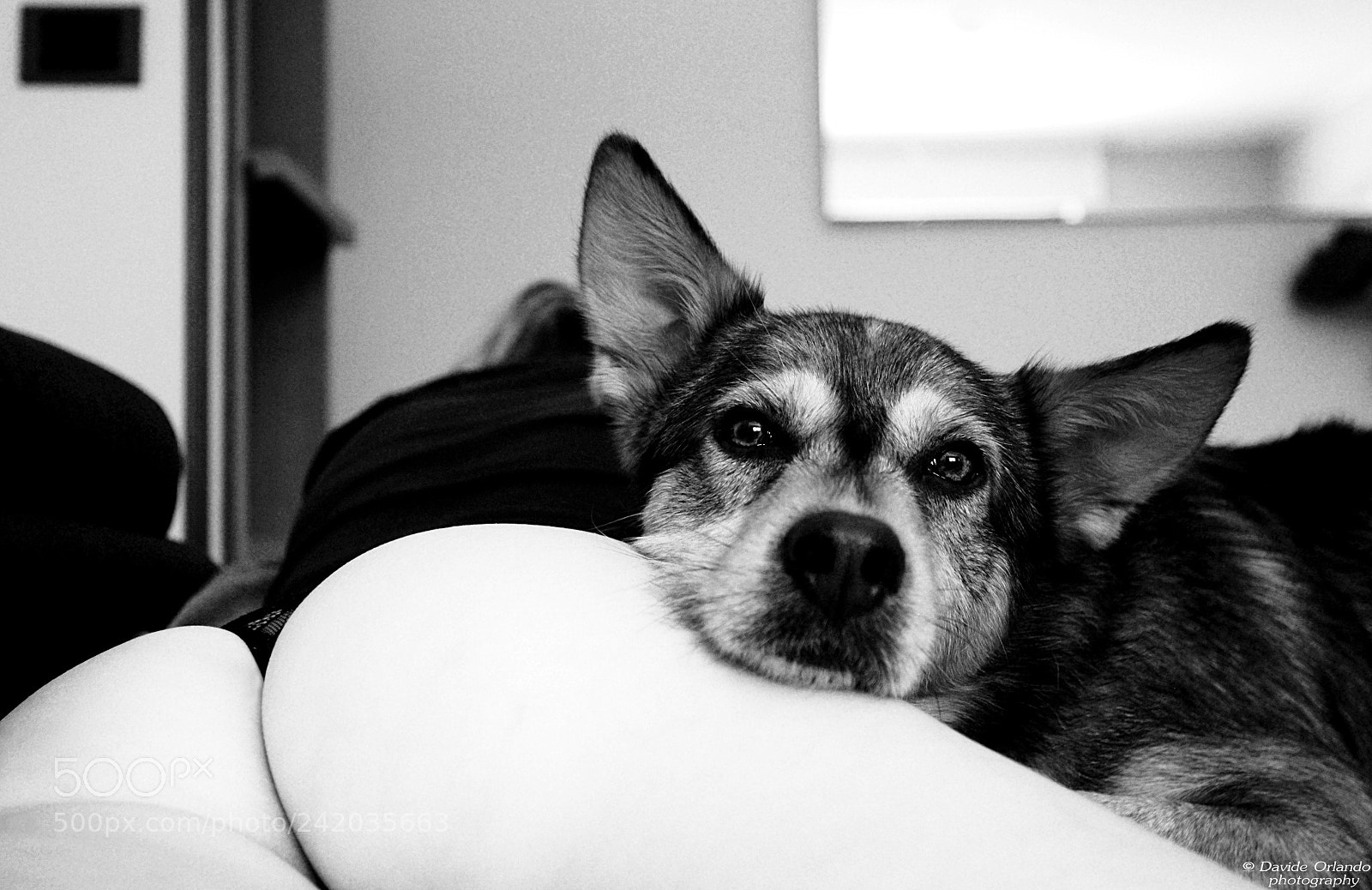 Canon EOS-1D Mark II sample photo. 7.jpg photography