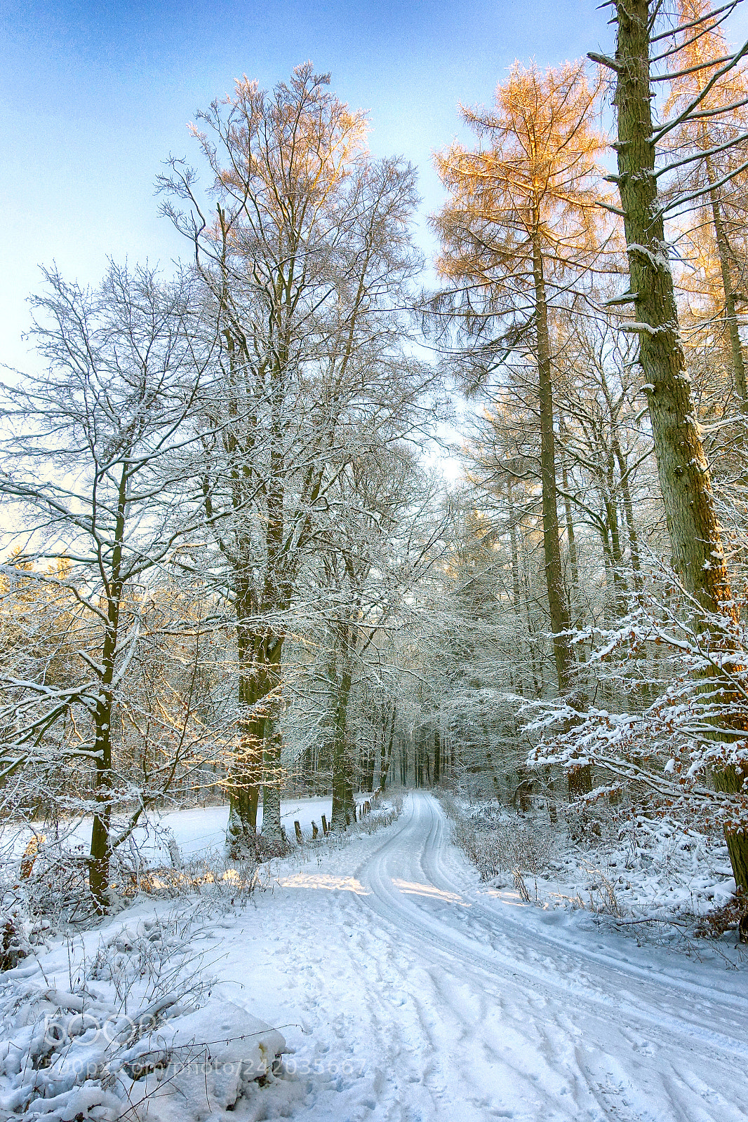 Sony Cyber-shot DSC-RX100 III sample photo. Wintermärchen winterlandschaft photography