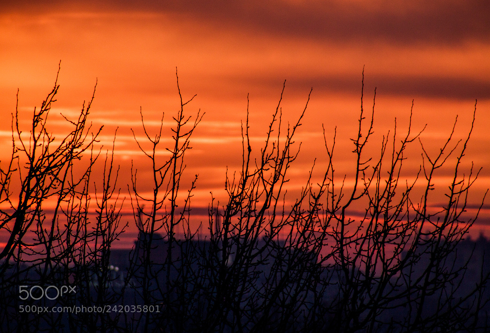 Canon EOS 50D sample photo. Dreamy sunset photography