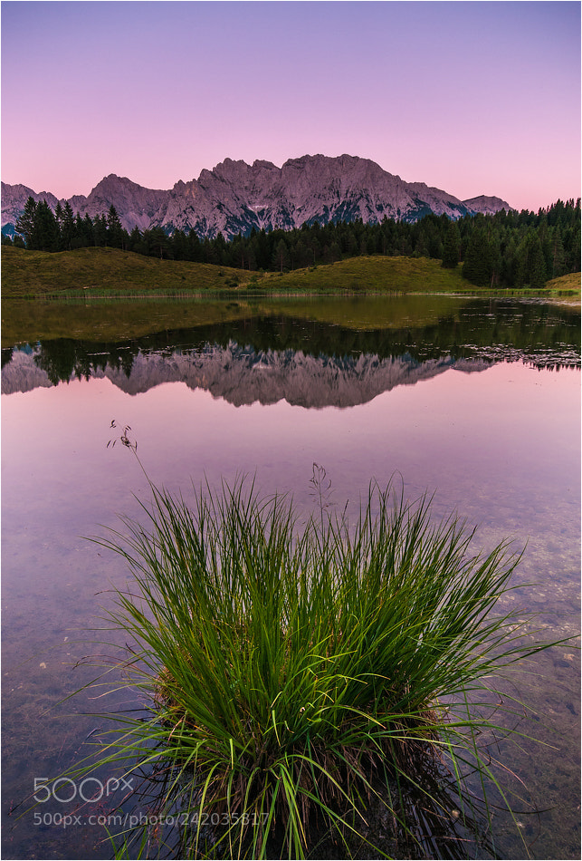 Nikon D300S sample photo. °°° mountains °°° photography