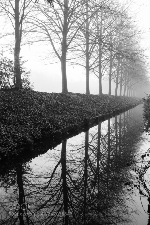 Nikon D3200 sample photo. Foggy reflection photography