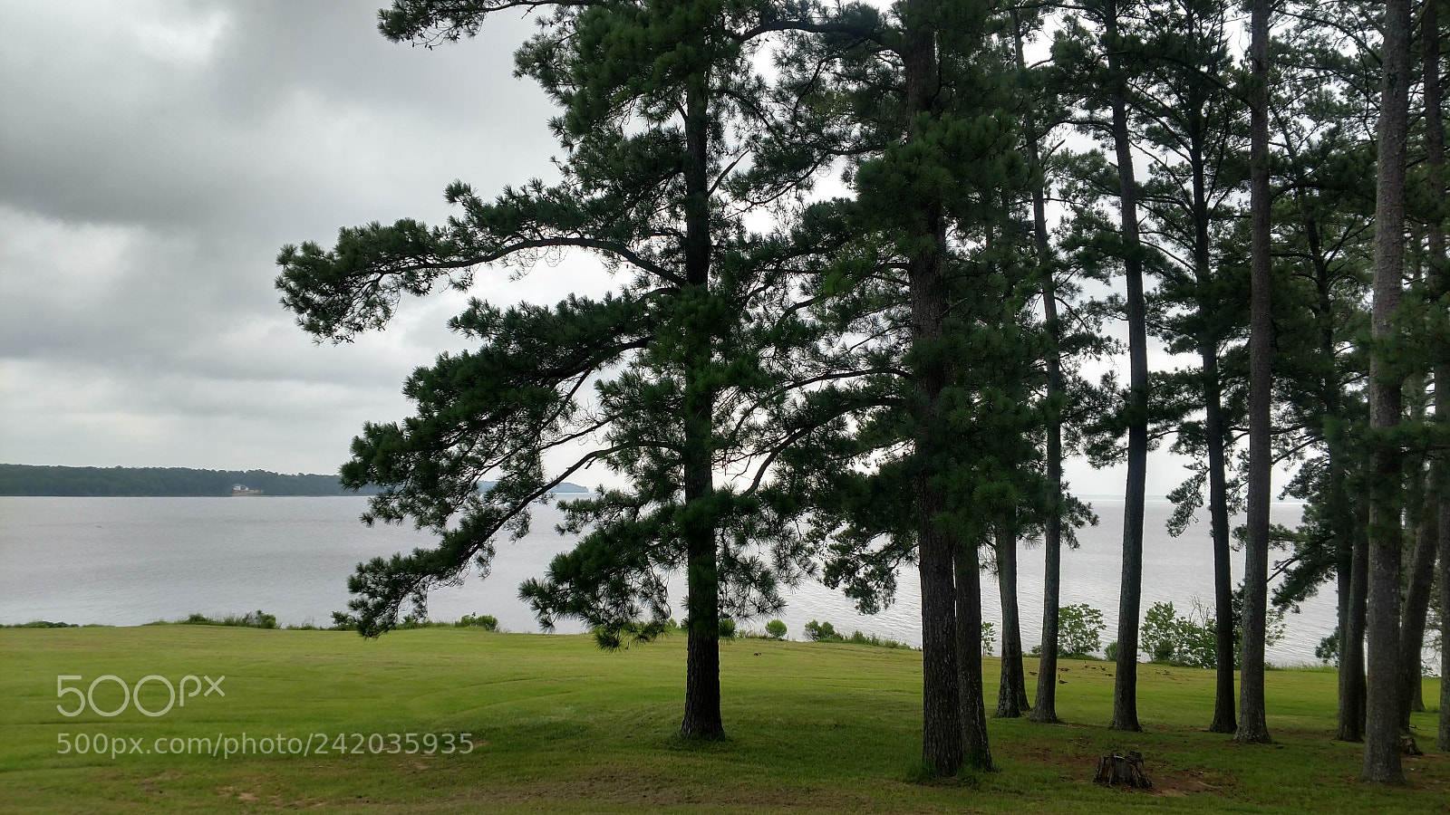 Motorola XT1650 sample photo. Hdr photography