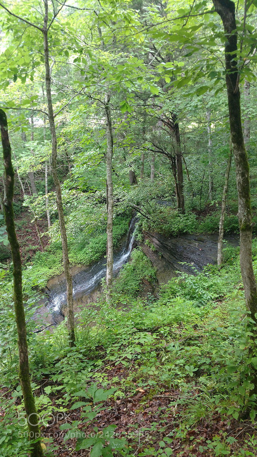 Motorola XT1650 sample photo. Img_20170701_104238186.jpg photography